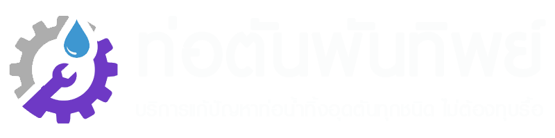 รับแก้ไขปัญหาท่อน้ำทิ้งอุดตัน ทุกชนิด ท่อตัน งูเหล็ก ทะลวงท่อ | ท่อตันพันทิพย์.com